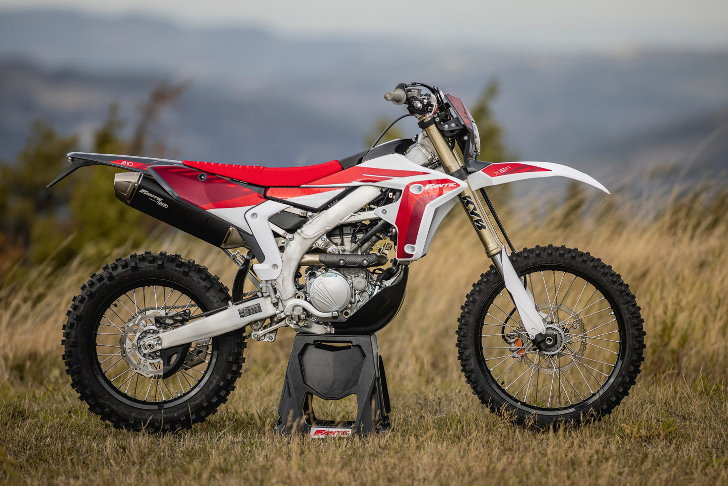 FANTIC XEF310 MY24 WHITE EDITION
