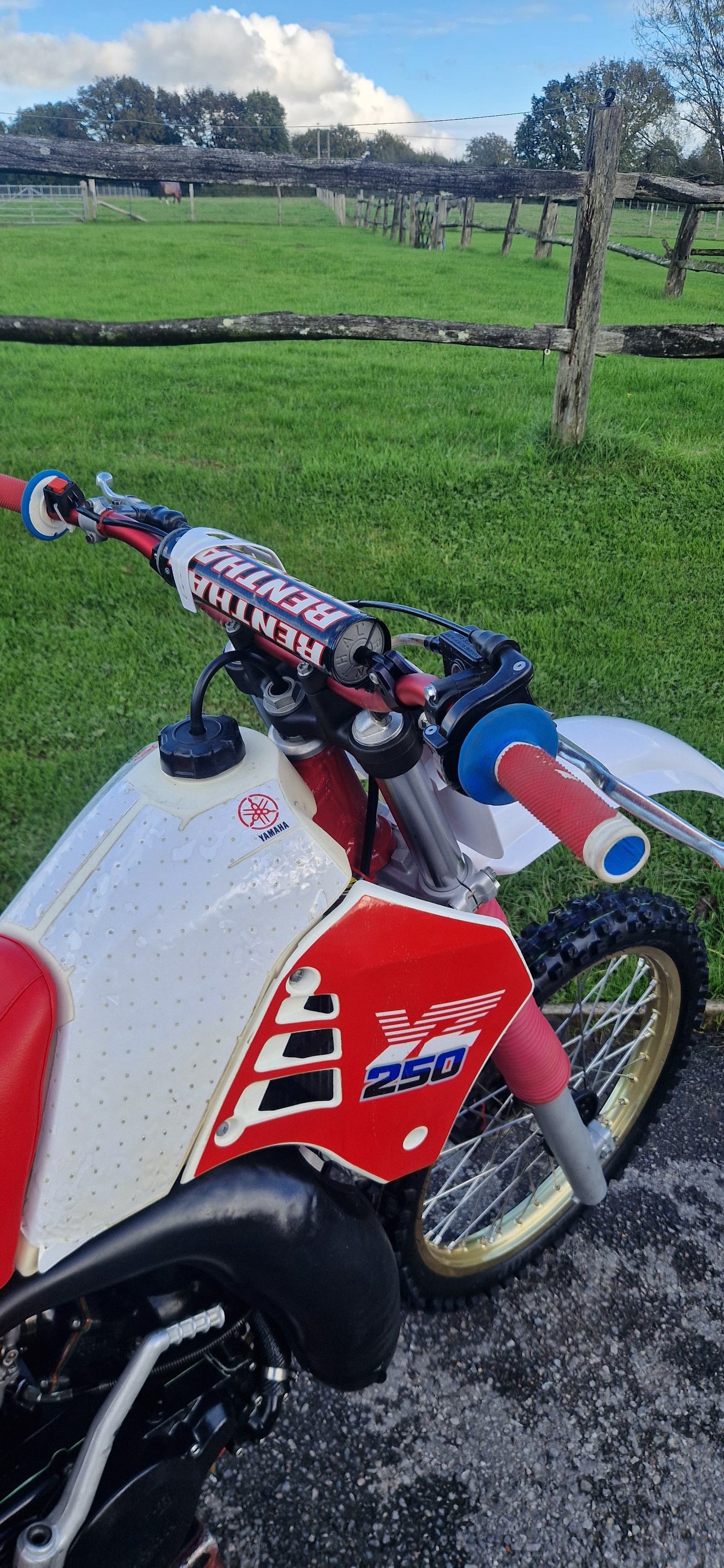 YAMAHA YZ250 1986